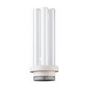 CFL PLR