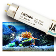 AQUARIUM LAMPS