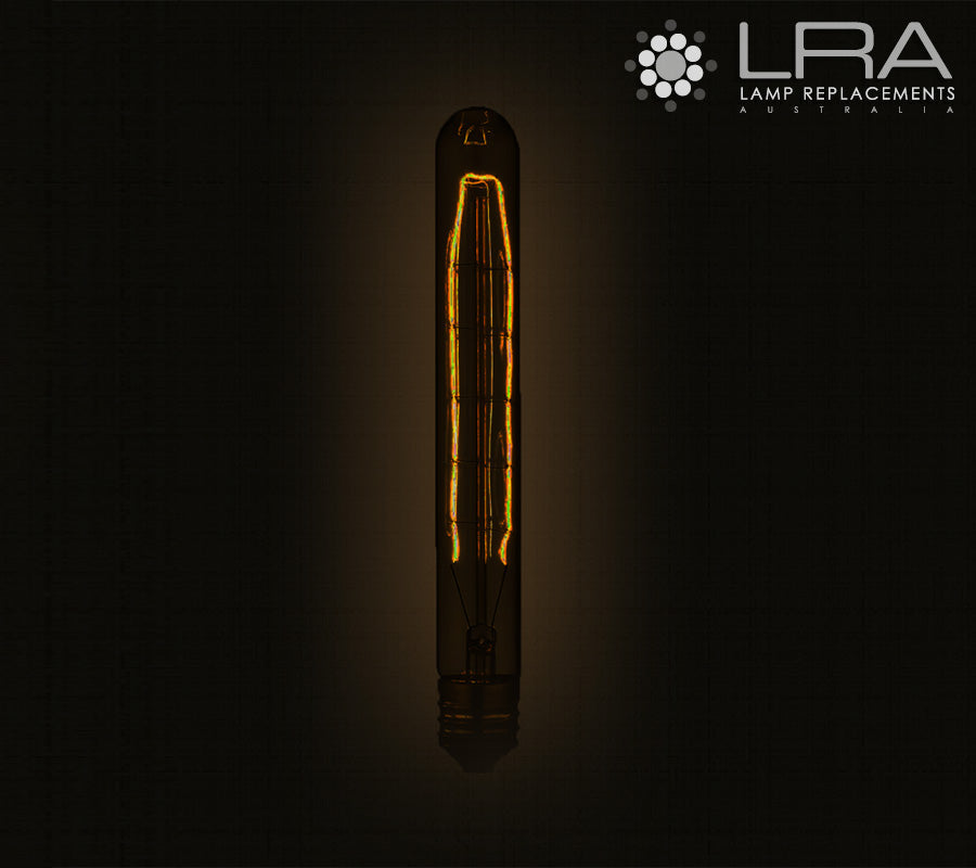 ENDURO T30 25W ES Carbon Filament Leaf-1