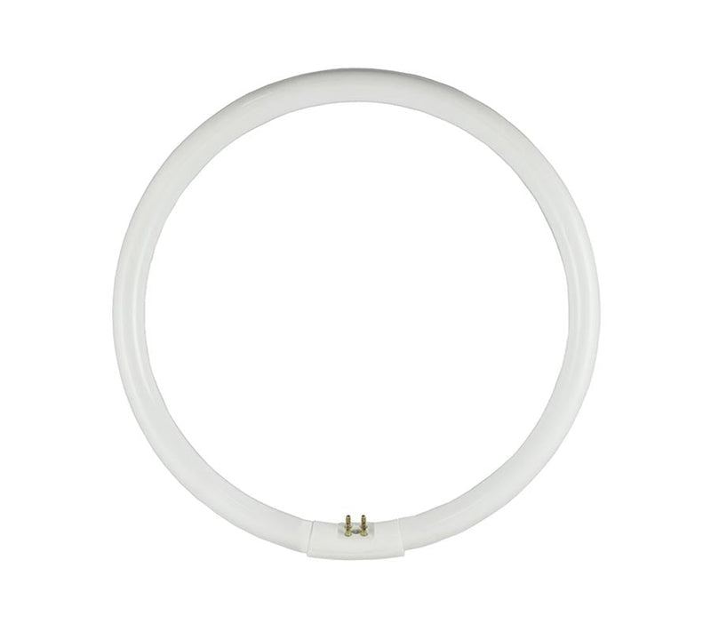 OSRAM Circular Fluoro T5 32W G10Q 6500K (245mm)-1