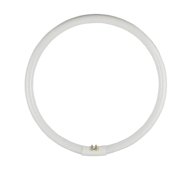 OSRAM Circular Fluoro T5 40W G10Q 6500K (275mm)-1