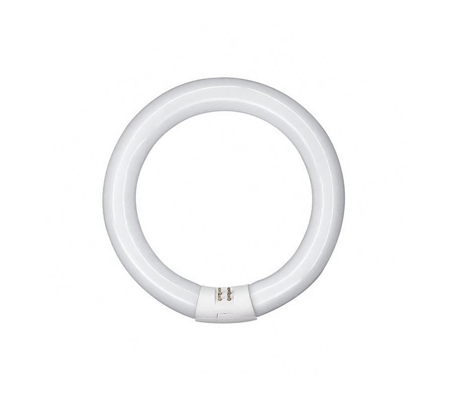 OSRAM Circular Fluoro T9 22W G10Q 6500K-1