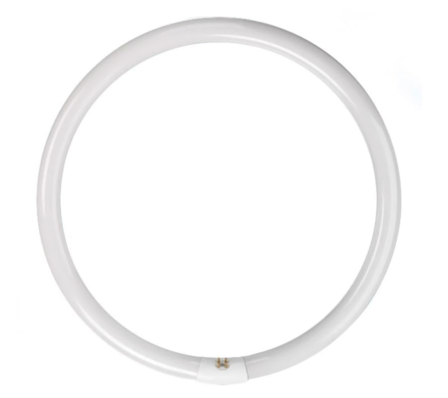 PHILIPS Circular Fluoro T9 40W G10Q 6500K-1